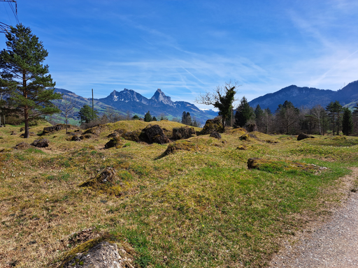 Naturschutzgebiet Sägel