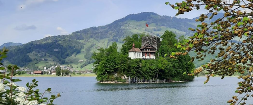 Insel Schwanau