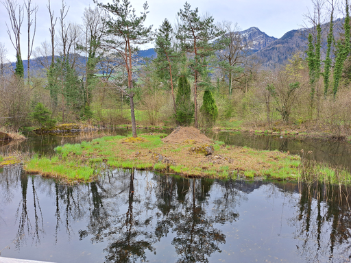 Naturschutzgebiet Sägel